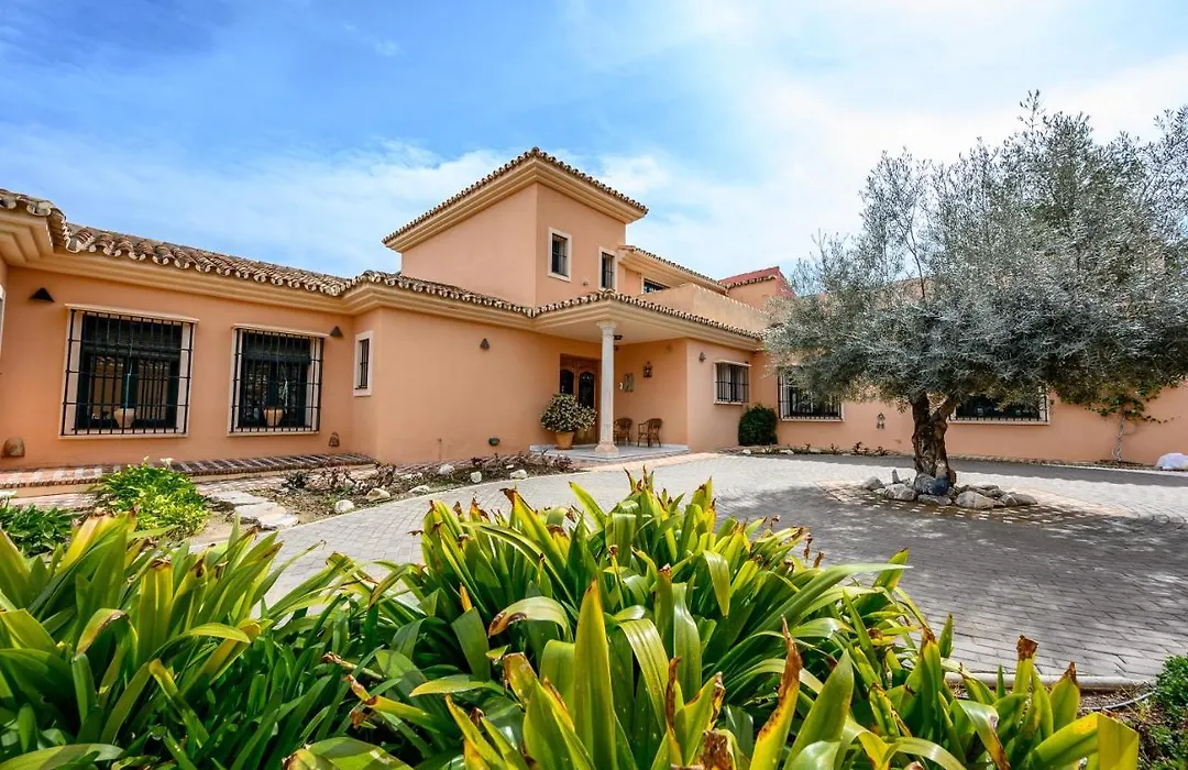 Villa Saguaro Malaga-1